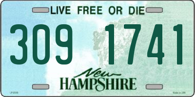NH license plate 3091741