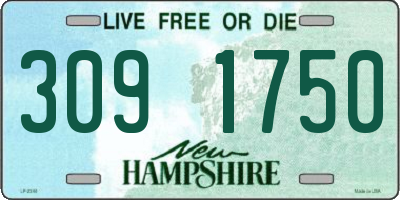 NH license plate 3091750