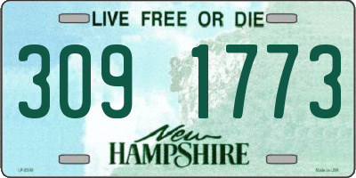 NH license plate 3091773