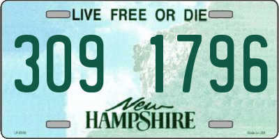 NH license plate 3091796