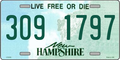 NH license plate 3091797