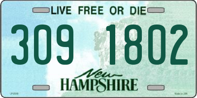 NH license plate 3091802