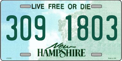 NH license plate 3091803