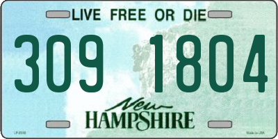 NH license plate 3091804