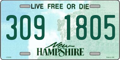 NH license plate 3091805