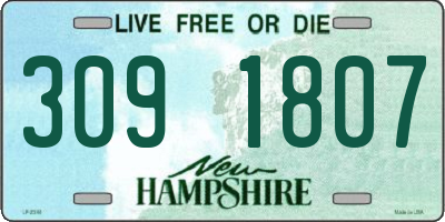 NH license plate 3091807