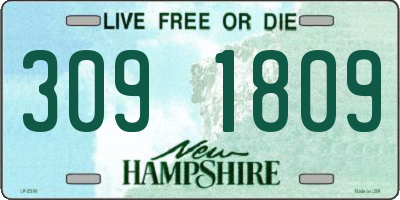 NH license plate 3091809