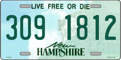 NH license plate 3091812