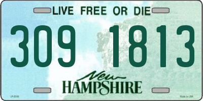NH license plate 3091813