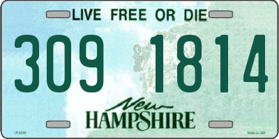 NH license plate 3091814