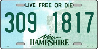 NH license plate 3091817