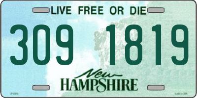 NH license plate 3091819