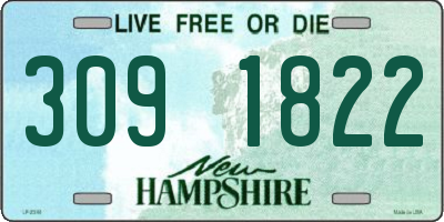 NH license plate 3091822