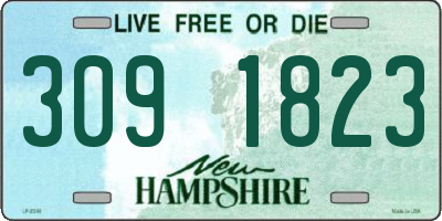 NH license plate 3091823