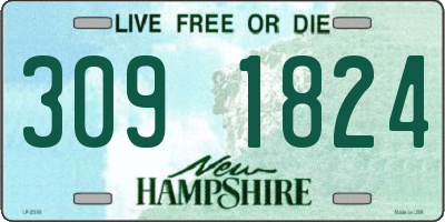 NH license plate 3091824