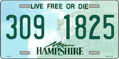 NH license plate 3091825