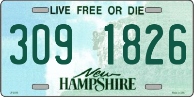 NH license plate 3091826