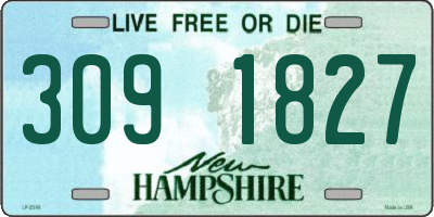 NH license plate 3091827