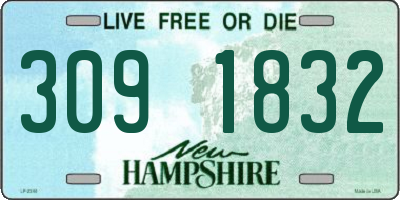 NH license plate 3091832