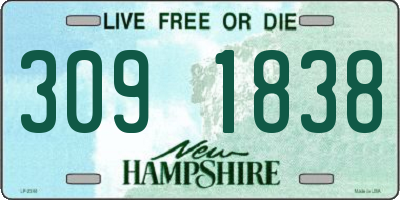 NH license plate 3091838