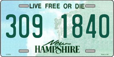 NH license plate 3091840