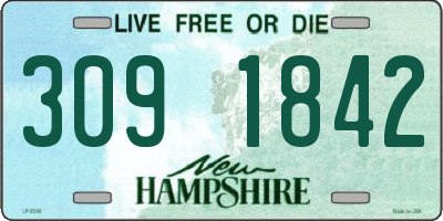 NH license plate 3091842
