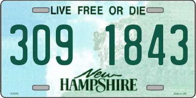 NH license plate 3091843