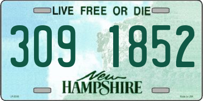 NH license plate 3091852