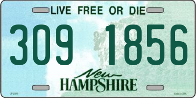 NH license plate 3091856