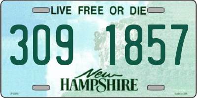 NH license plate 3091857
