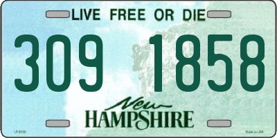 NH license plate 3091858