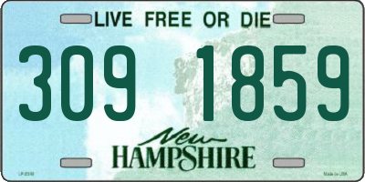 NH license plate 3091859