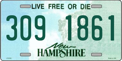 NH license plate 3091861