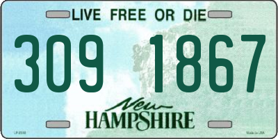 NH license plate 3091867