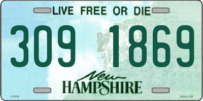 NH license plate 3091869