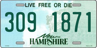 NH license plate 3091871