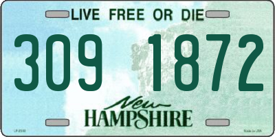 NH license plate 3091872