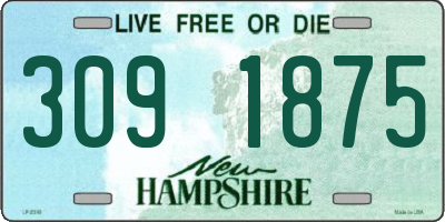 NH license plate 3091875