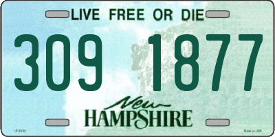 NH license plate 3091877