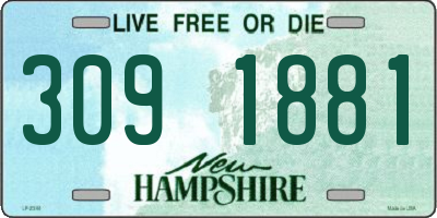 NH license plate 3091881