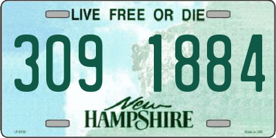 NH license plate 3091884