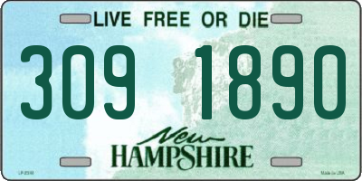 NH license plate 3091890