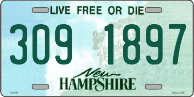 NH license plate 3091897