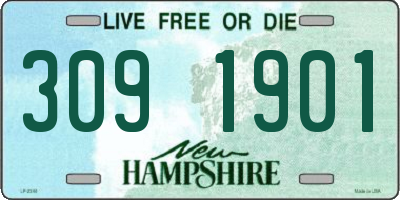 NH license plate 3091901