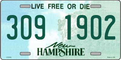 NH license plate 3091902