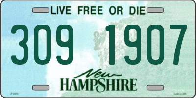 NH license plate 3091907