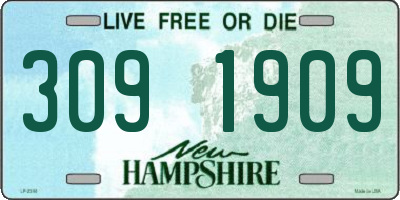 NH license plate 3091909