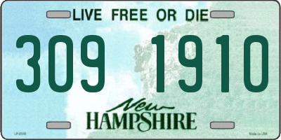 NH license plate 3091910