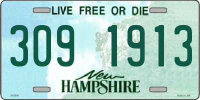 NH license plate 3091913