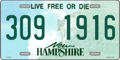 NH license plate 3091916